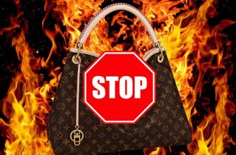 The Luxury Lifestyle Dilemma: Curbing Waste to Combat Global Warming